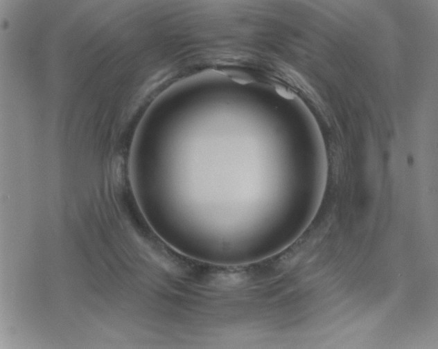 X0000077340071200610201310