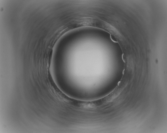 X0000077340073200610201310