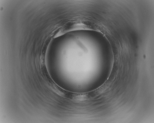 X0000077340081200610201310