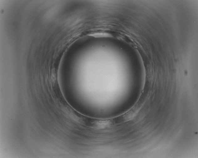 X0000077340085200610201310