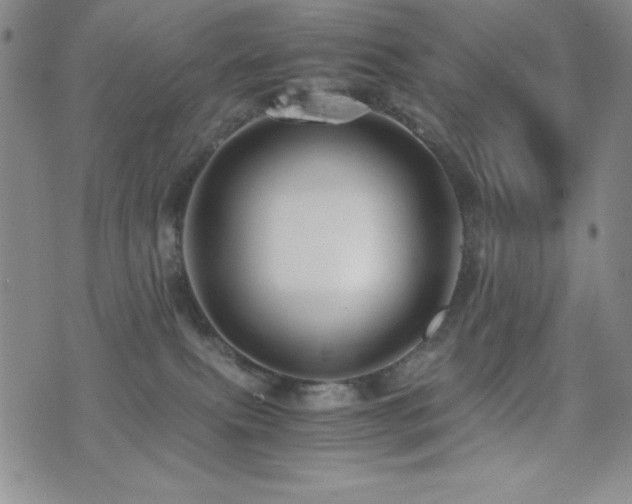 X0000077340087200610201310