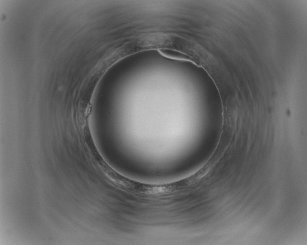 X0000077340091200610201310