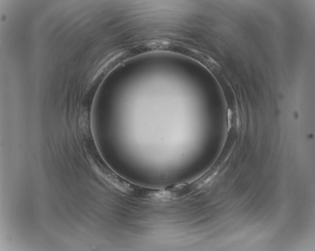 X0000077340092200610201310