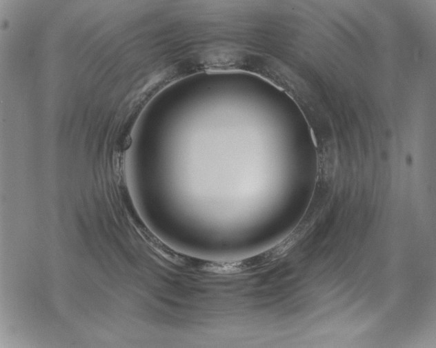 X0000077340093200610201310