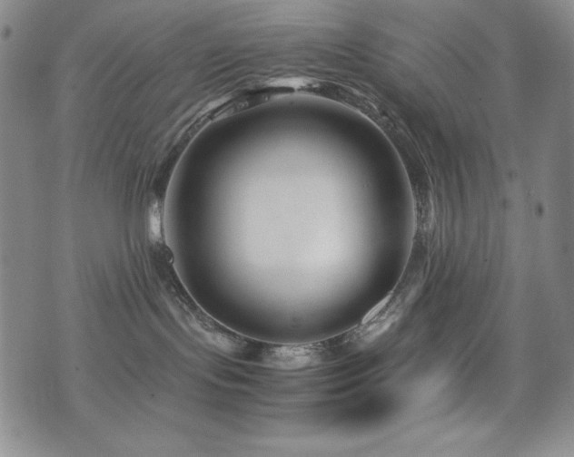 X0000077340095200610201310