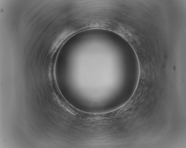 X0000077340098200610201309