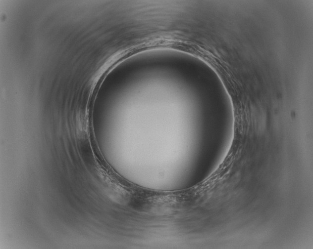 X0000077340100200610201309