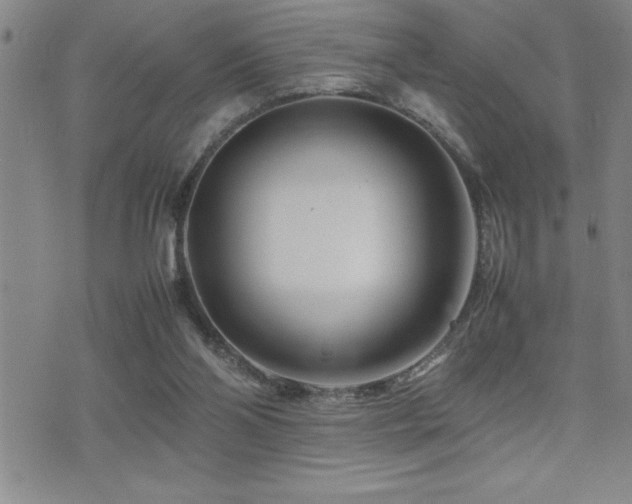 X0000077340110200610201309