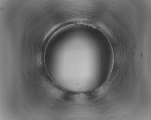 X0000077340112200610201309