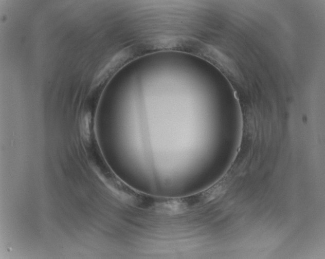X0000077340118200610201309