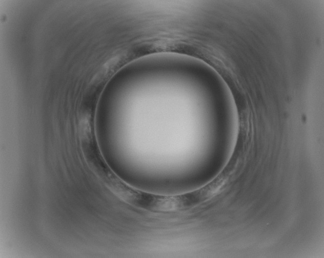 X0000077340127200610201309