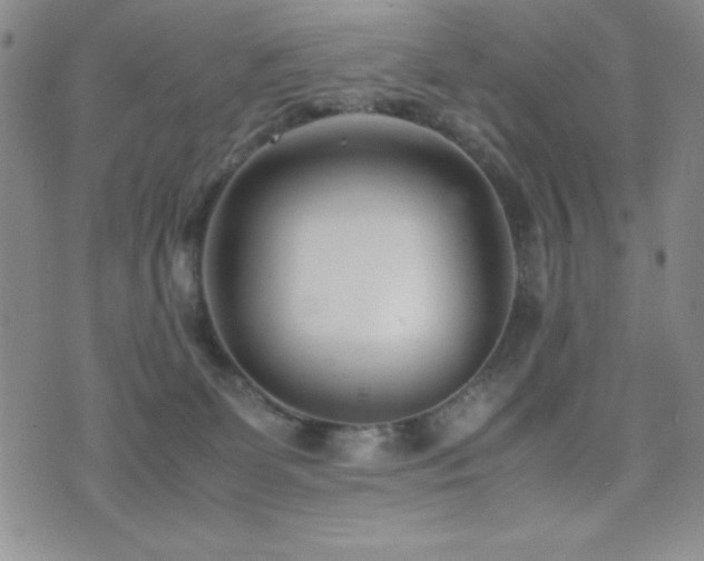 X0000077340131200610201309