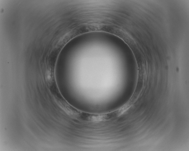 X0000077340134200610201309