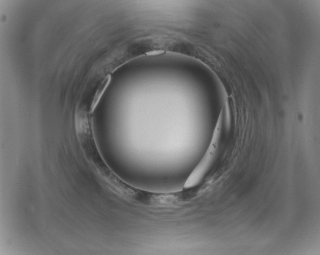 X0000077340137200610201309