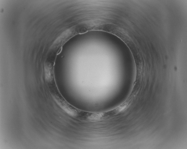 X0000077340138200610201309