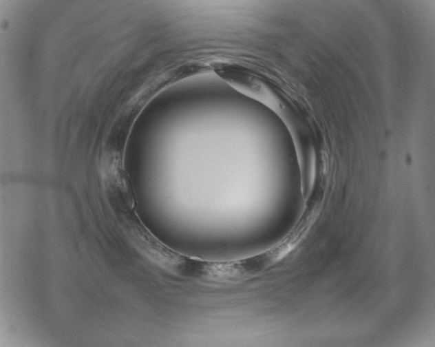 X0000077340141200610201309