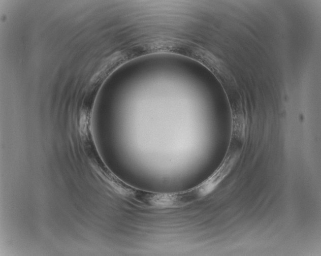 X0000077340142200610201309