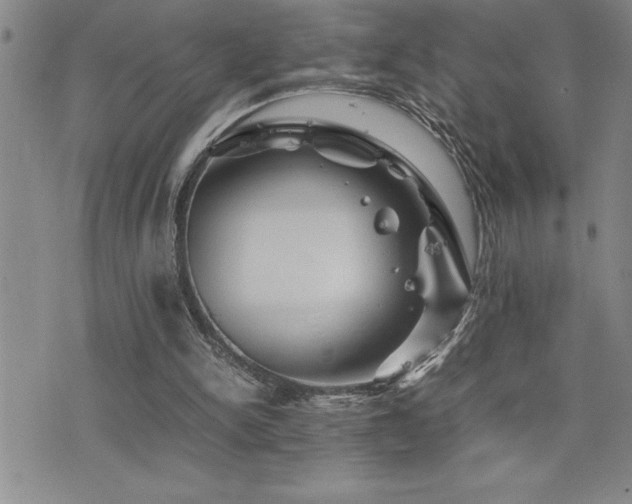 X0000077340150200610201308