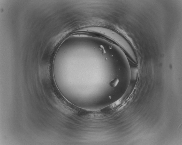 X0000077340154200610201308