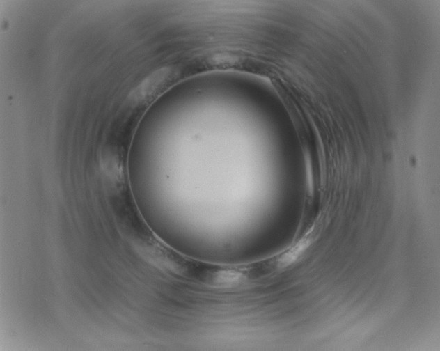 X0000077340176200610201308