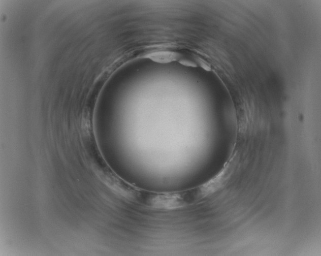 X0000077340179200610201308
