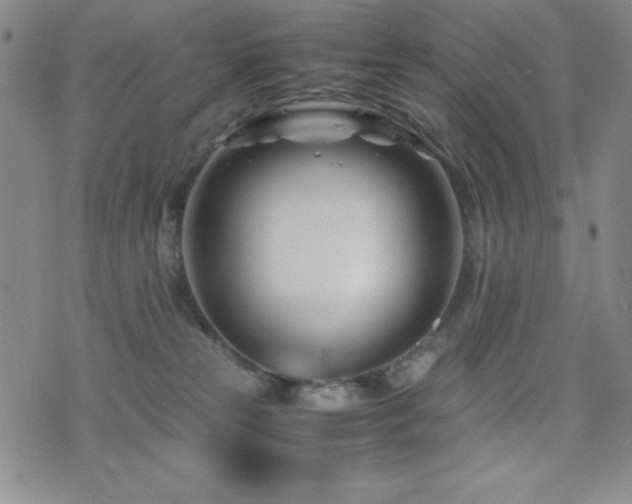 X0000077340181200610201308