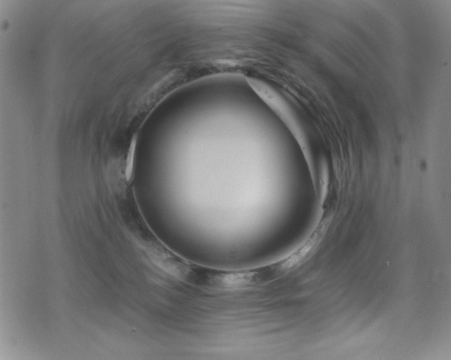 X0000077340184200610201308