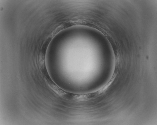 X0000077340186200610201308
