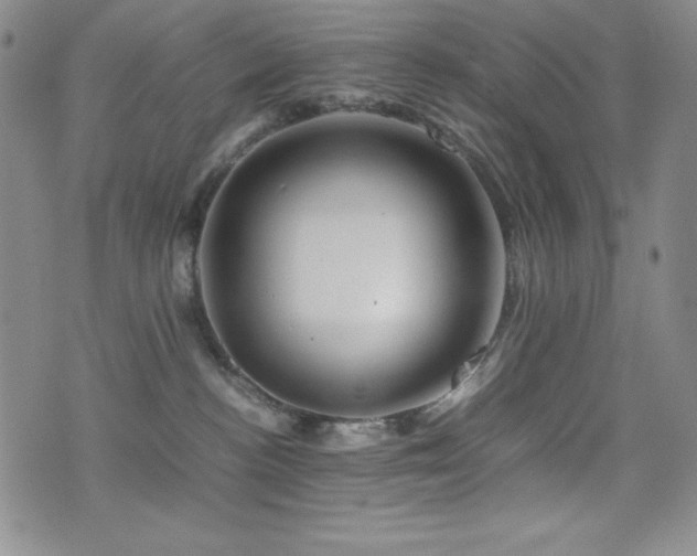 X0000077340188200610201308