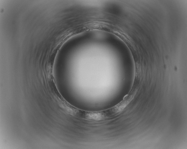 X0000077340189200610201308