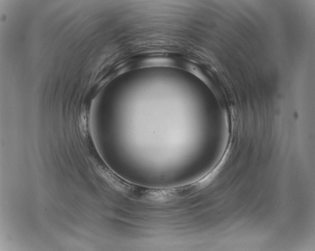 X0000077340190200610201308