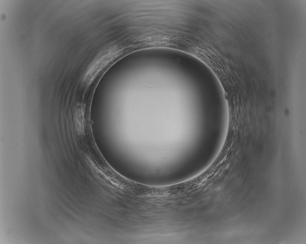X0000077340194200610201308
