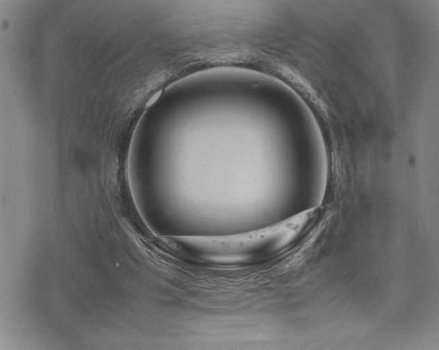 X0000077340201200610201308