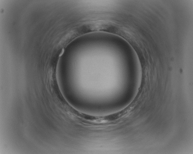 X0000077340219200610201307