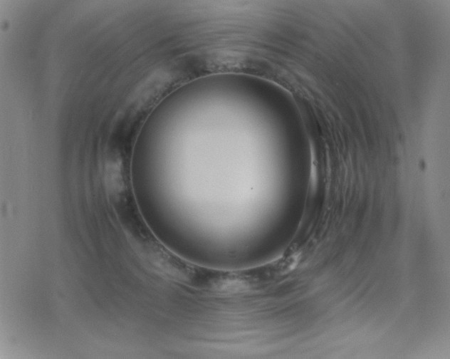 X0000077340224200610201307