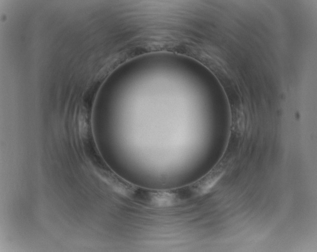 X0000077340226200610201307