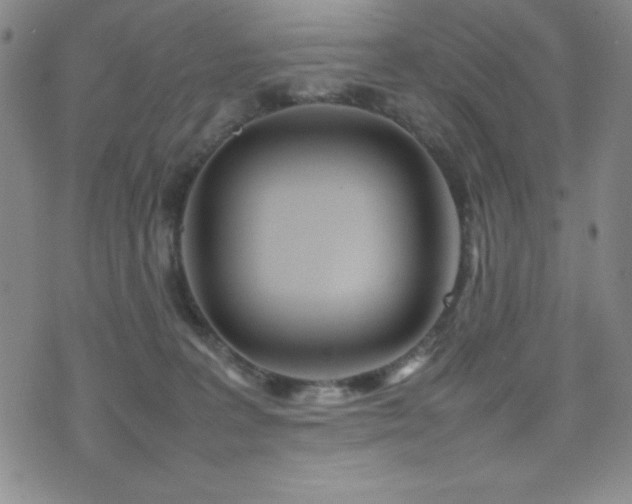 X0000077340227200610201307