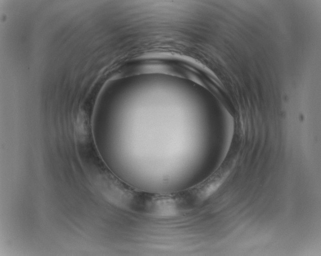 X0000077340228200610201307