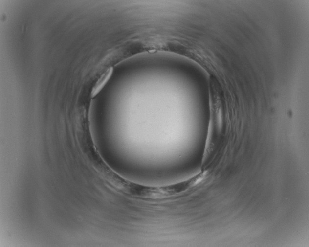 X0000077340229200610201307