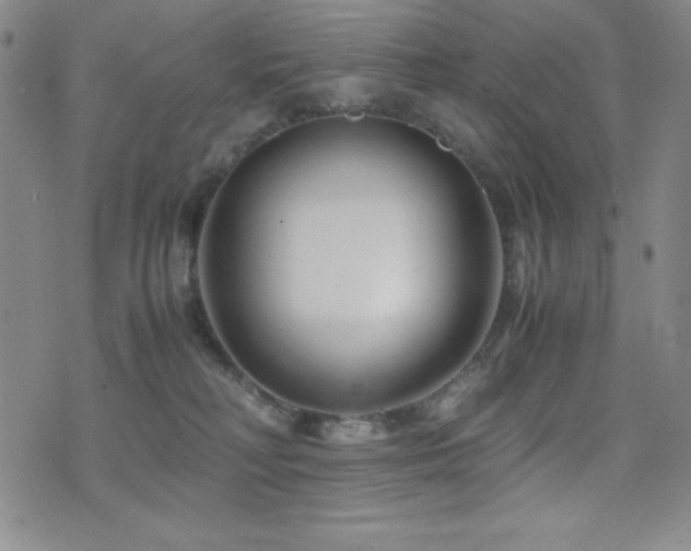 X0000077340230200610201307