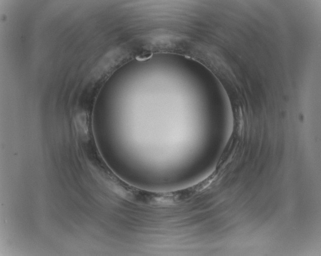 X0000077340232200610201307