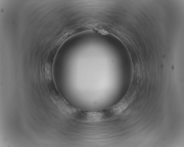 X0000077340234200610201307