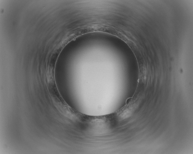 X0000077340236200610201307