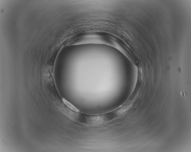 X0000077340237200610201307