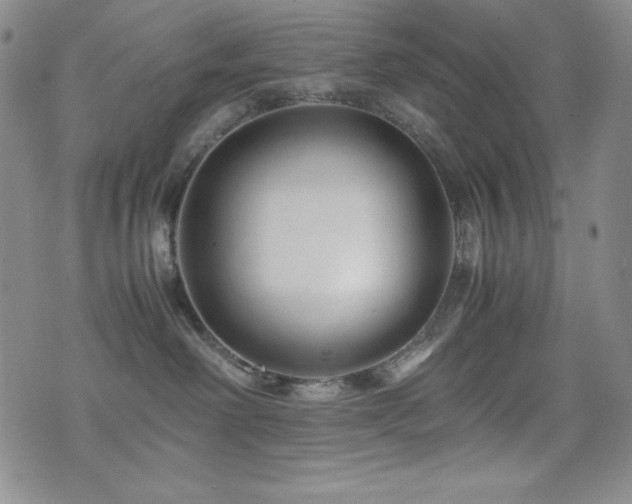 X0000077340238200610201307