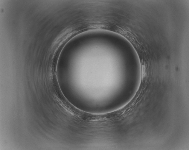 X0000077340243200610201306