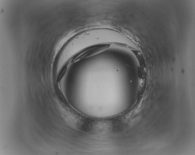 X0000077340248200610201306