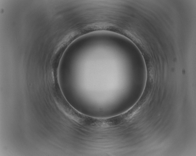 X0000077340254200610201306