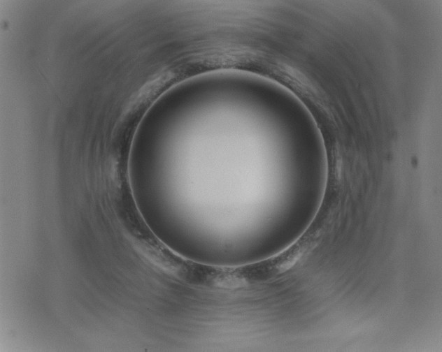 X0000077340258200610201306