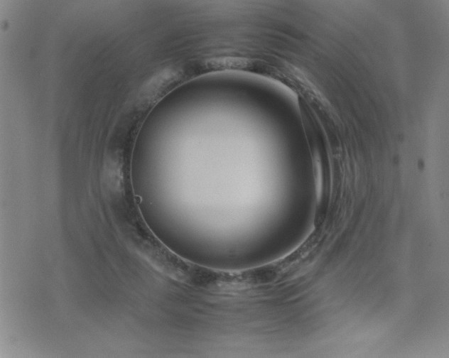 X0000077340259200610201306